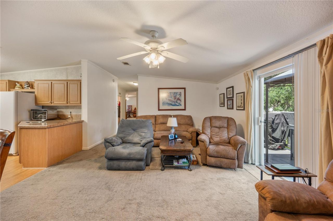 4817 Indian Oak Drive, Mulberry, FL 33860 Photo