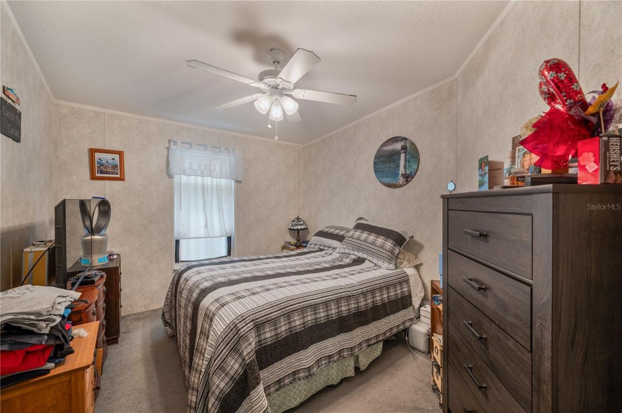 4817 Indian Oak Drive, Mulberry, FL 33860 Photo