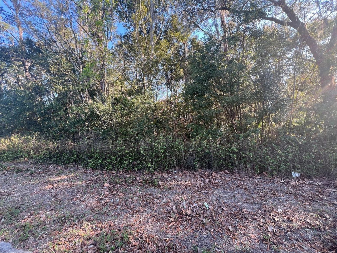 Ne 14th Street , Ocala, FL 34470 Photo