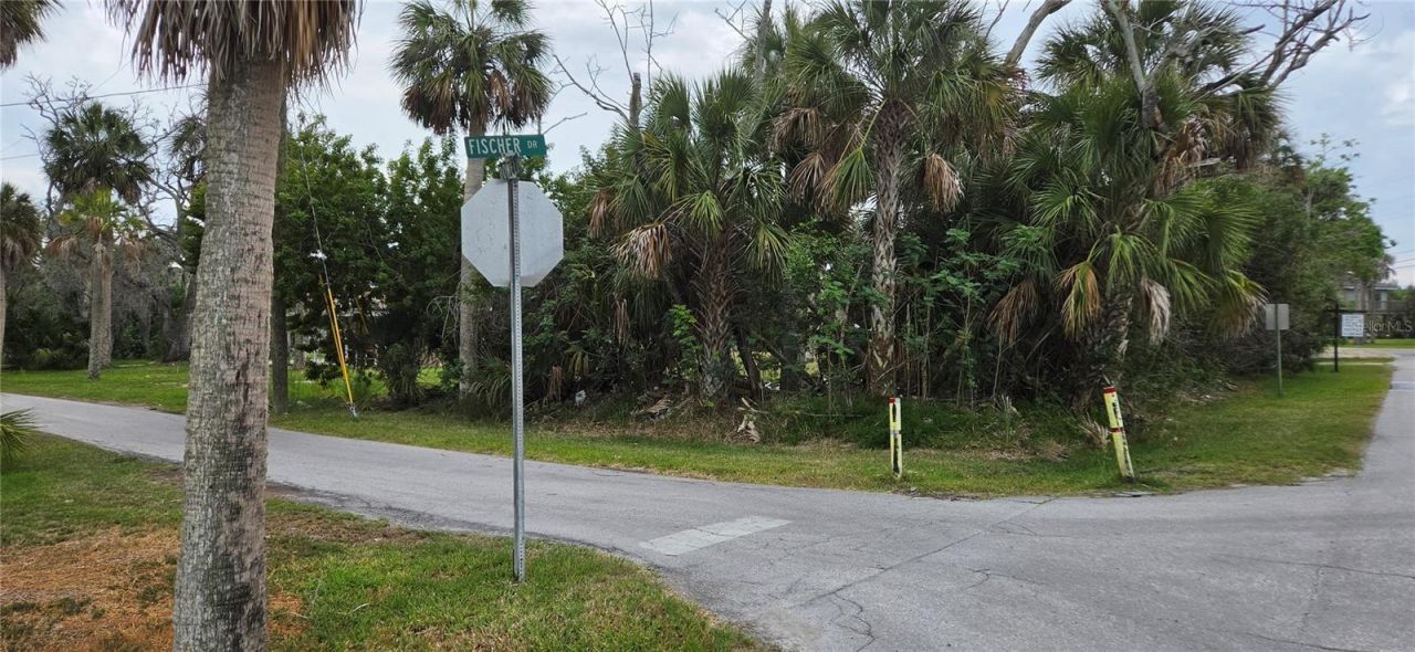 4824 Dowell Drive , Port Richey, FL 34668 Photo