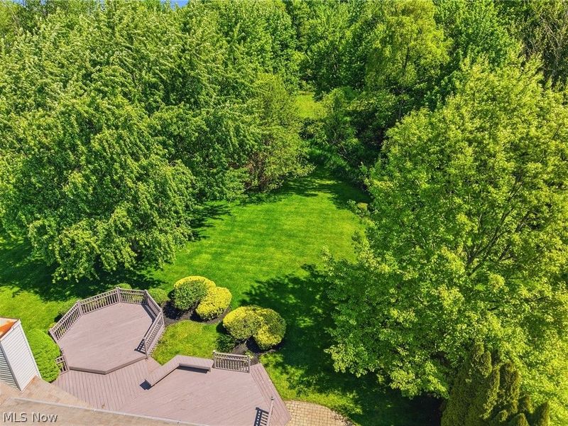 1295 Shady Lakes Drive, Kent, OH 44240 Photo 3