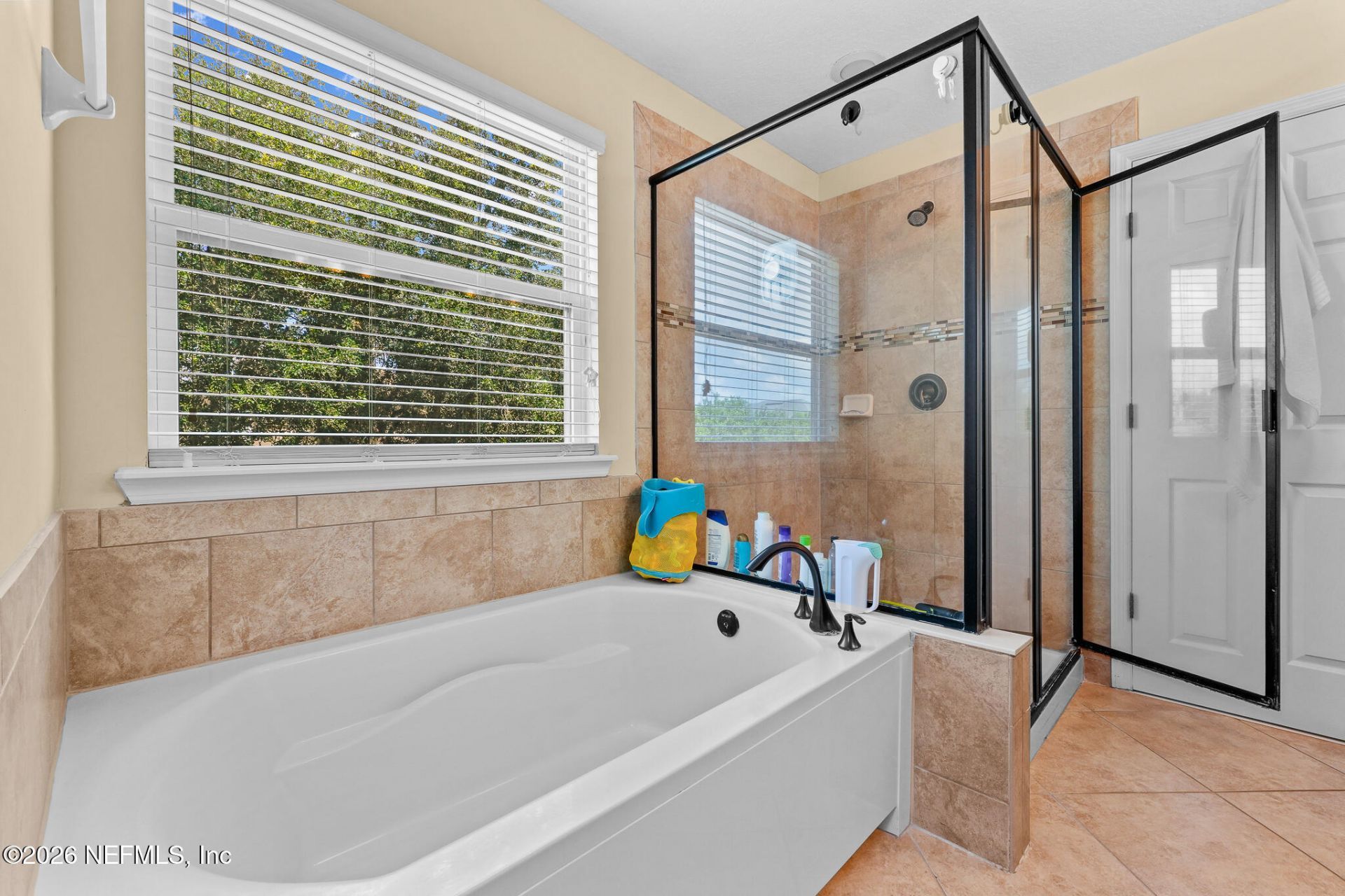 7039 Crispin Cove Drive, Jacksonville, FL 32258 Photo