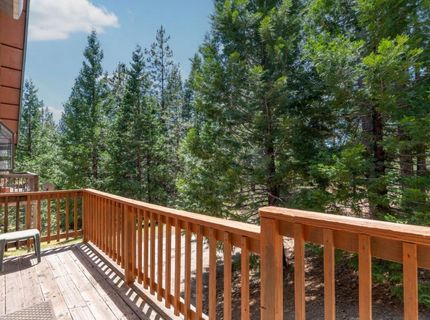 27297 Dew Drop Rd, Pioneer, CA 95666 Photo