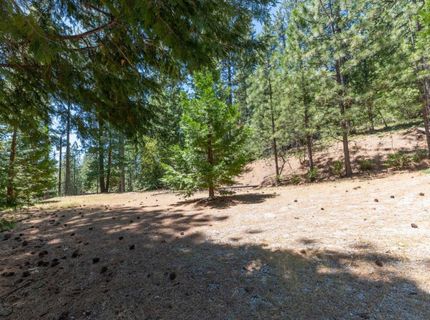 27297 Dew Drop Rd, Pioneer, CA 95666 Photo