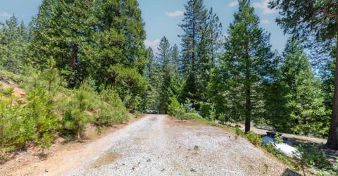 27297 Dew Drop Rd, Pioneer, CA 95666 Photo