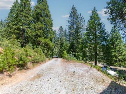 27297 Dew Drop Rd, Pioneer, CA 95666 Photo