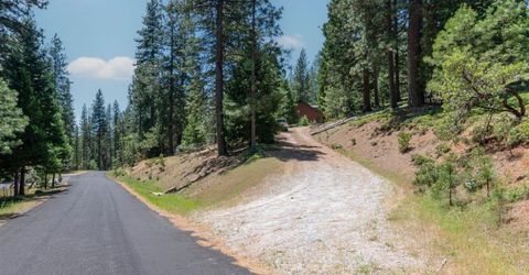 27297 Dew Drop Rd, Pioneer, CA 95666 Photo