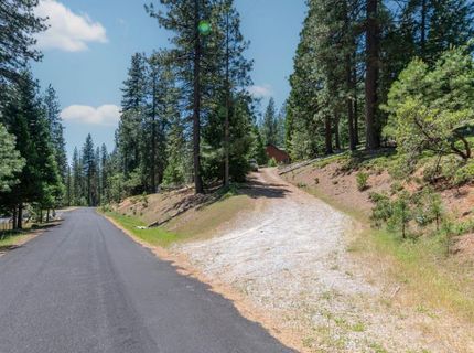 27297 Dew Drop Rd, Pioneer, CA 95666 Photo