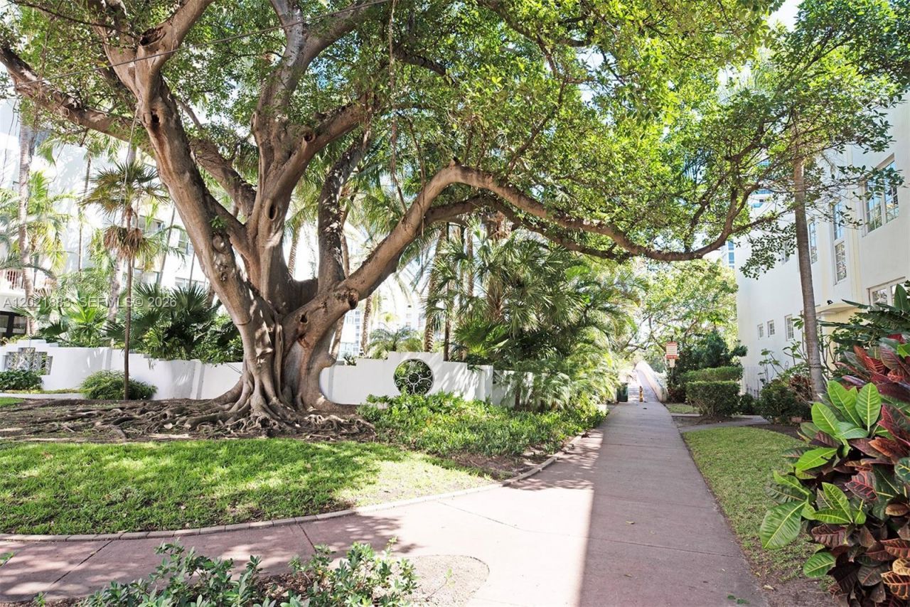 2383 Flamingo Dr , Unit 11, Miami Beach, FL 33140 Photo