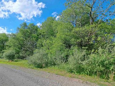 TBD Hudson Mill Road, Albright, WV 26519