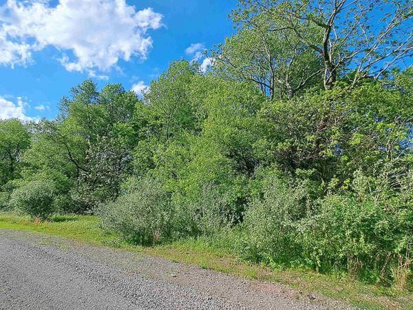 TBD Hudson Mill Road, Albright, WV 26519