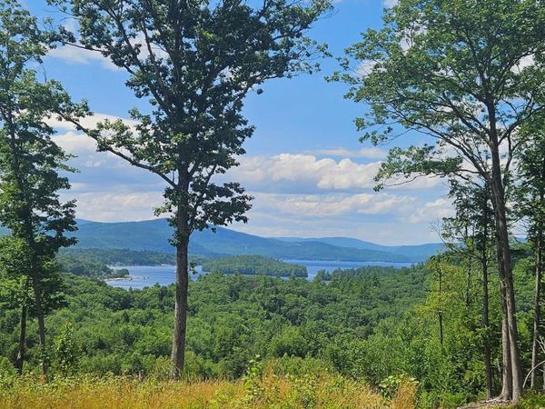 207 Overlook Drive, Unit 217-133-1, Bristol, NH 03222