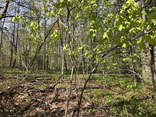 Lot 12W Chicopee Drive, Hubbardston, MA 01452