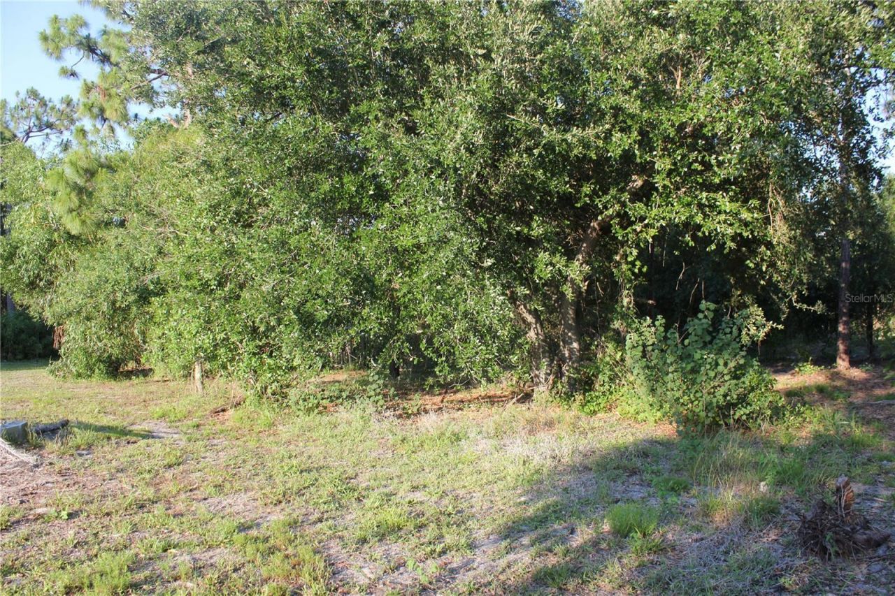 9082 Acorn Boulevard , Punta Gorda, FL 33982 Photo