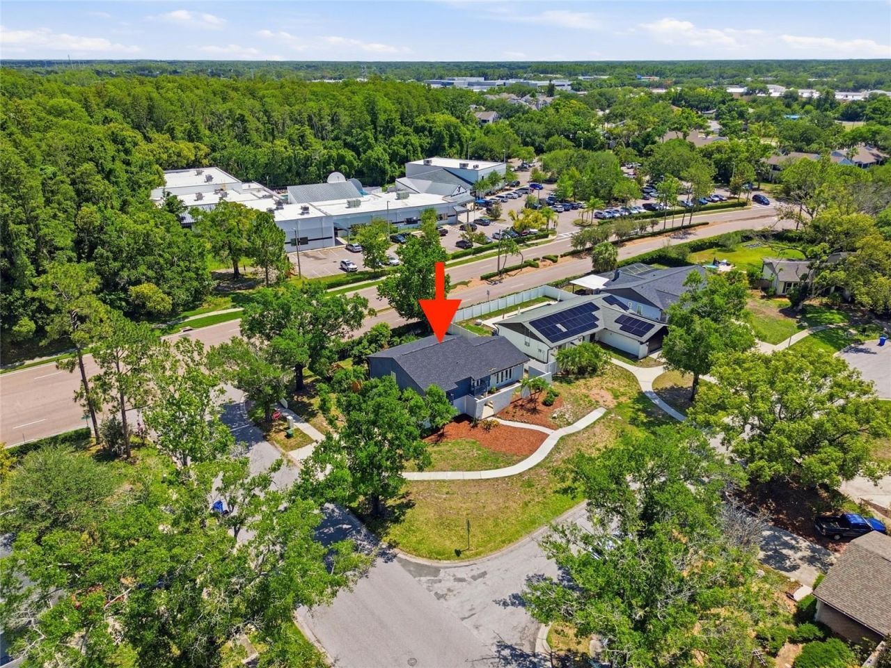 3909 Willowtree Place , Tampa, FL 33624 Photo