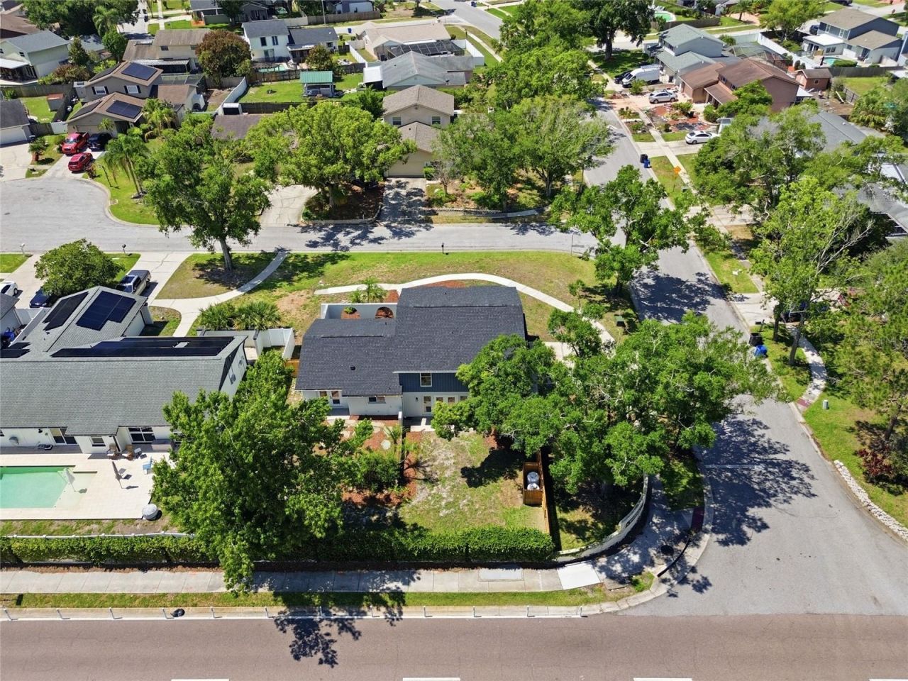 3909 Willowtree Place , Tampa, FL 33624 Photo