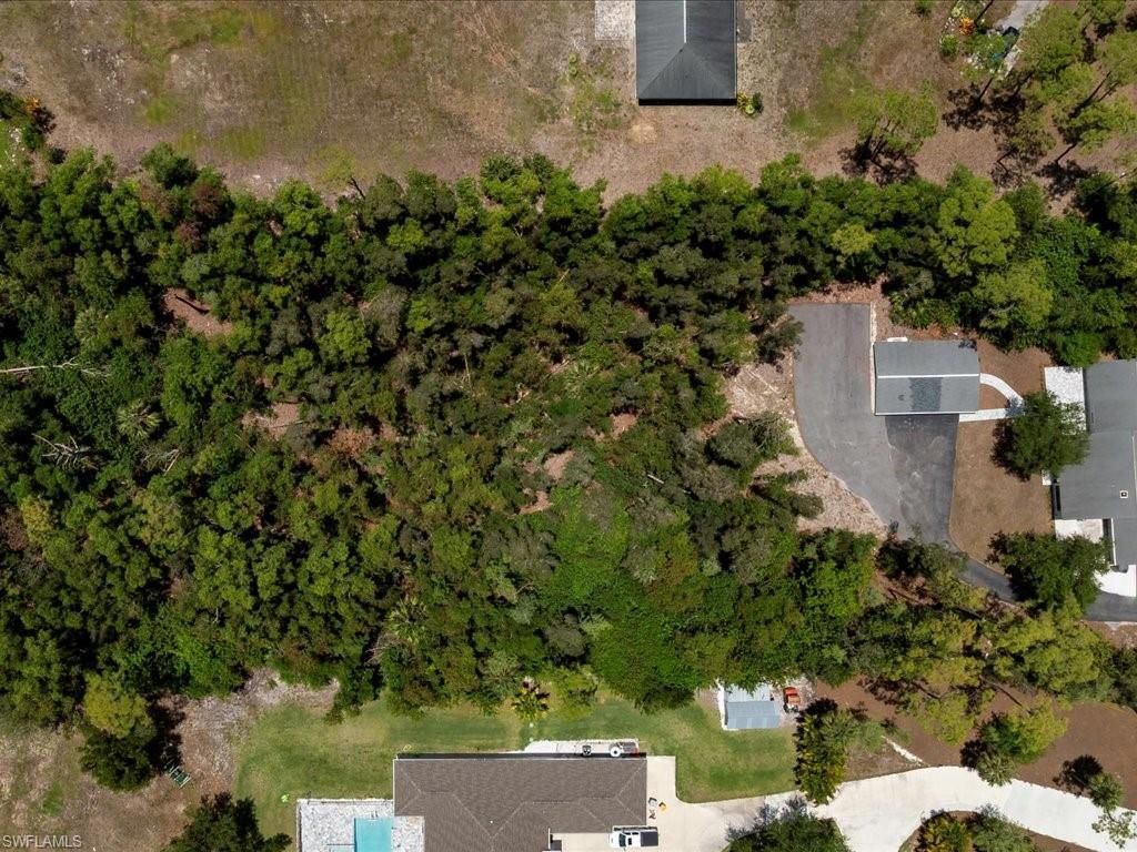 6800 Bottlebrush Ln , Naples, FL 34109 Photo