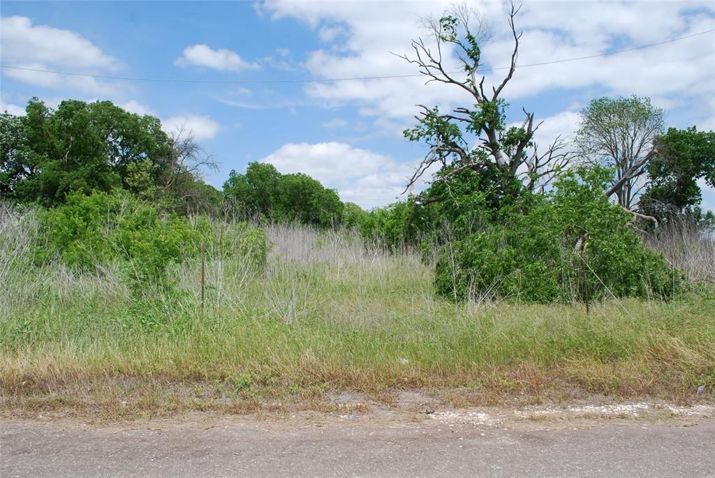 129 Lcr 300, Mart, TX 76664 Main Photo