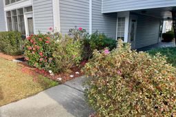 2258 Huntington Dr.  photo 4