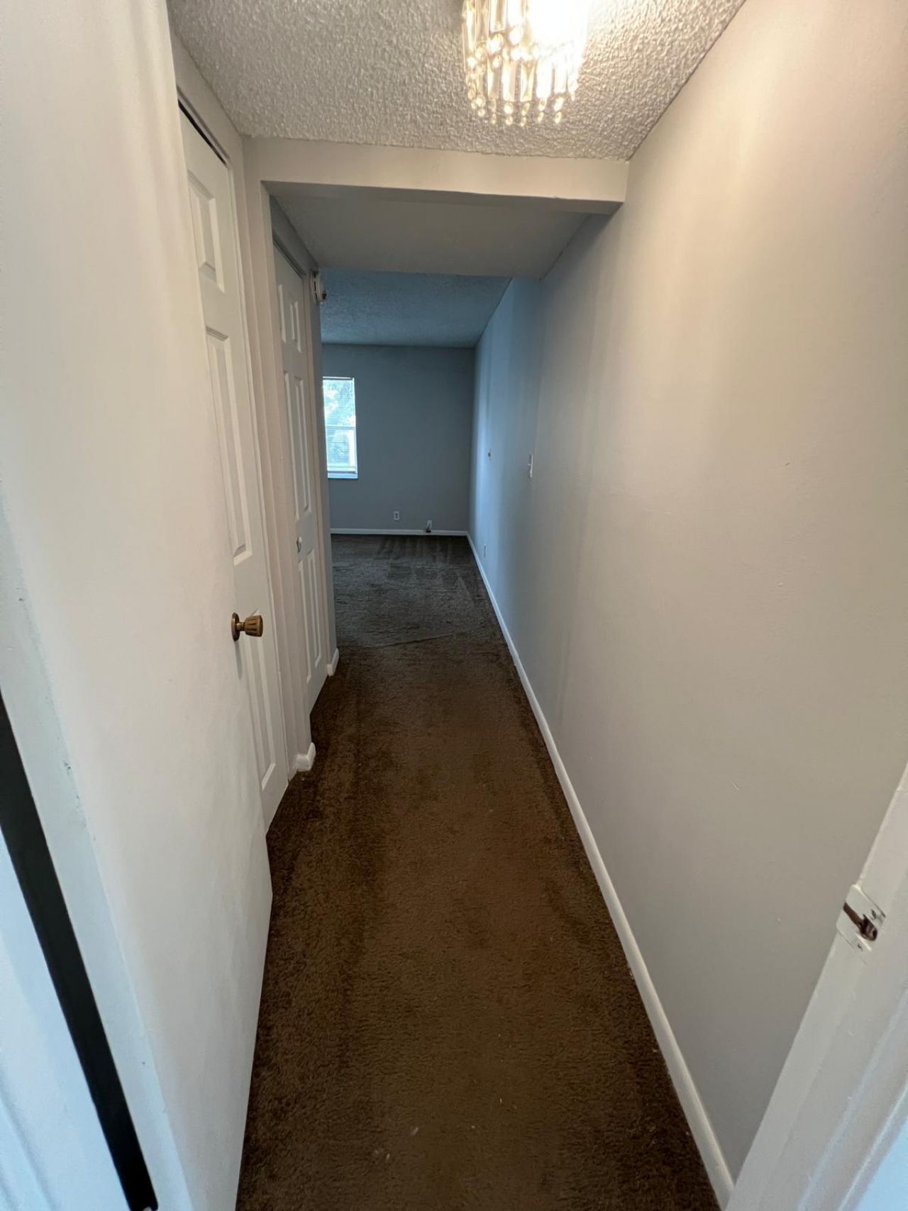 3360 Spanish Moss Terrace, Unit 313, Lauderhill, FL 33319 Photo