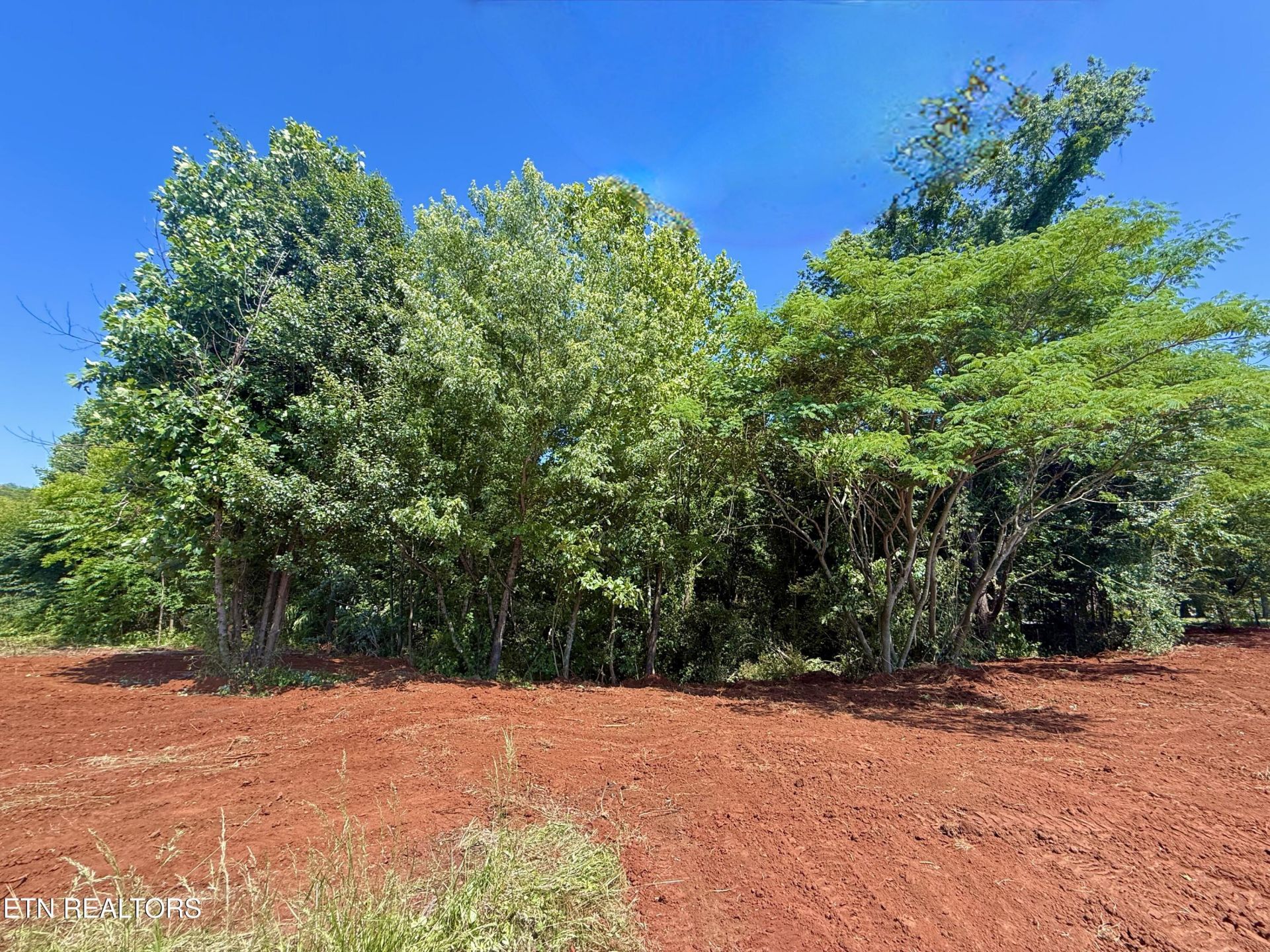 305 Oakwood Estates Drive, Lenoir City, TN 37772 Main Photo