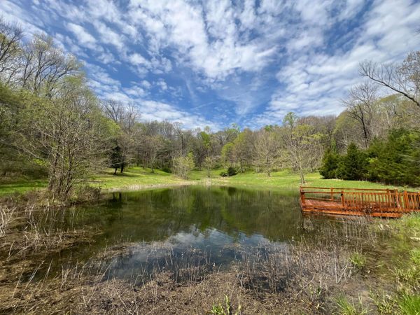 10515 Paw Paw Springs Rd , Arrington, TN 37014