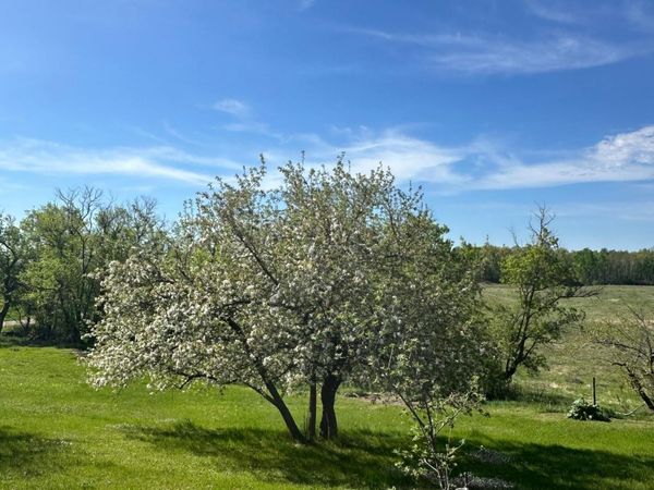16166 510th Avenue, Menahga, MN 56464