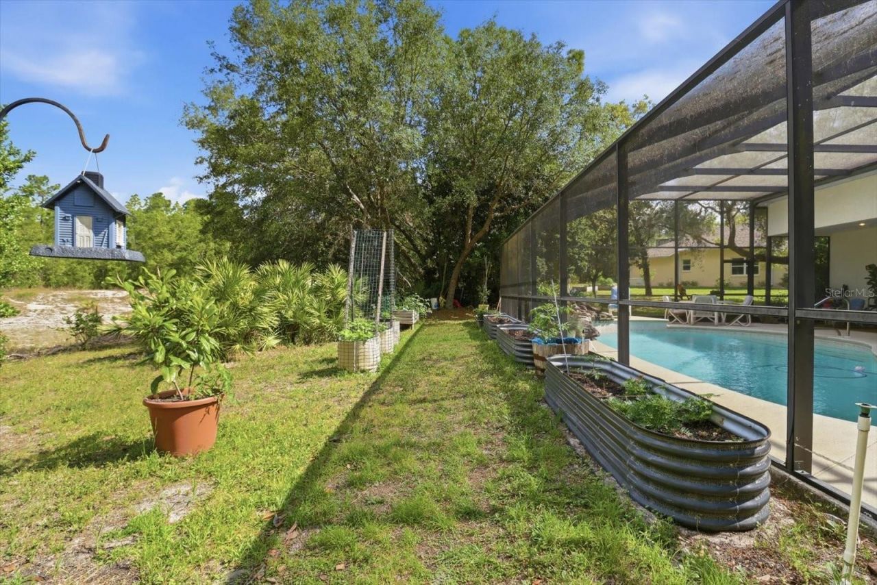 3 Portulaca Court N, Homosassa, FL 34446 Photo