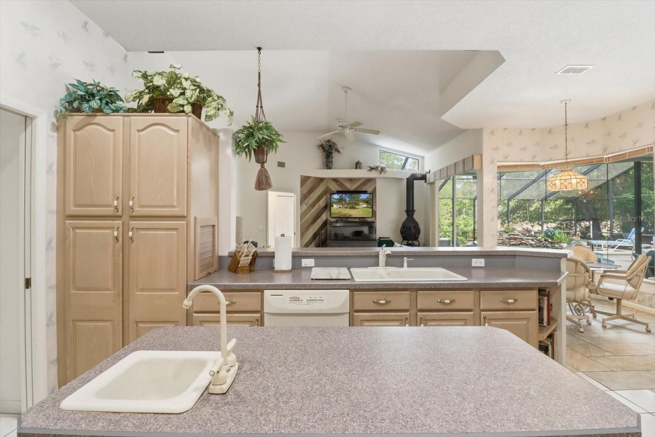 3 Portulaca Court N, Homosassa, FL 34446 Photo