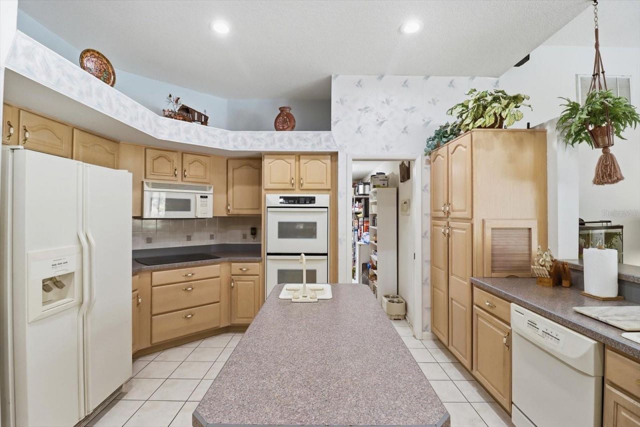 3 Portulaca Court N, Homosassa, FL 34446 Photo