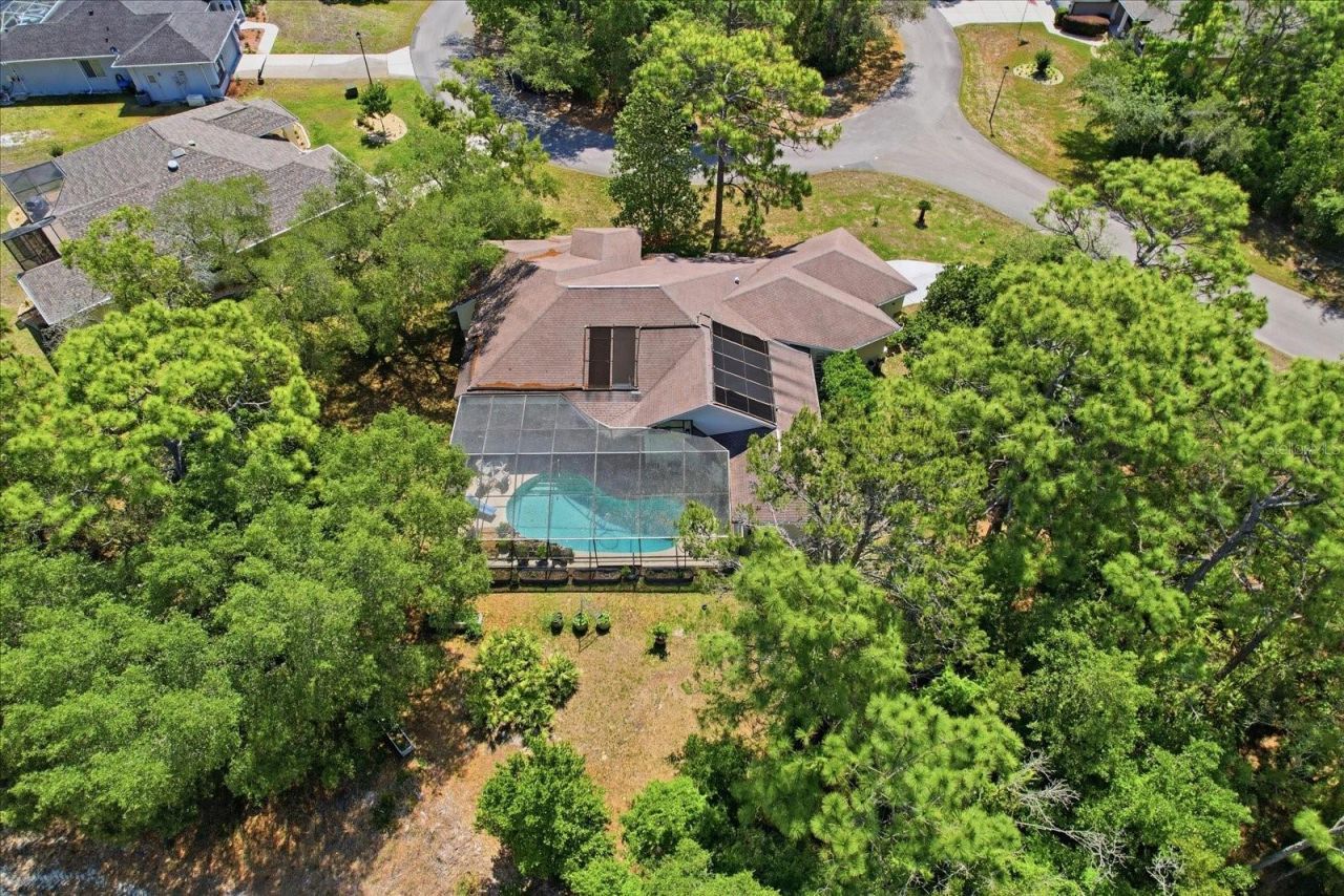3 Portulaca Court N, Homosassa, FL 34446 Photo