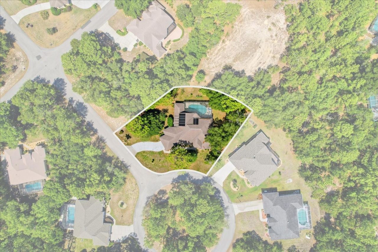 3 Portulaca Court N, Homosassa, FL 34446 Photo