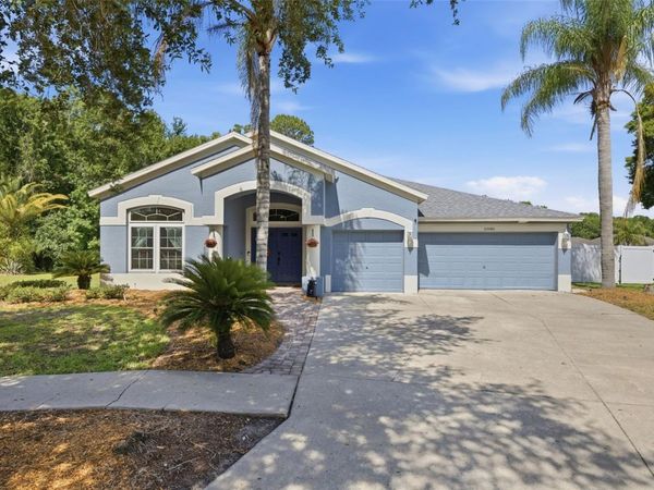 25540 RISEN STAR DRIVE , WESLEY CHAPEL, FL 33544