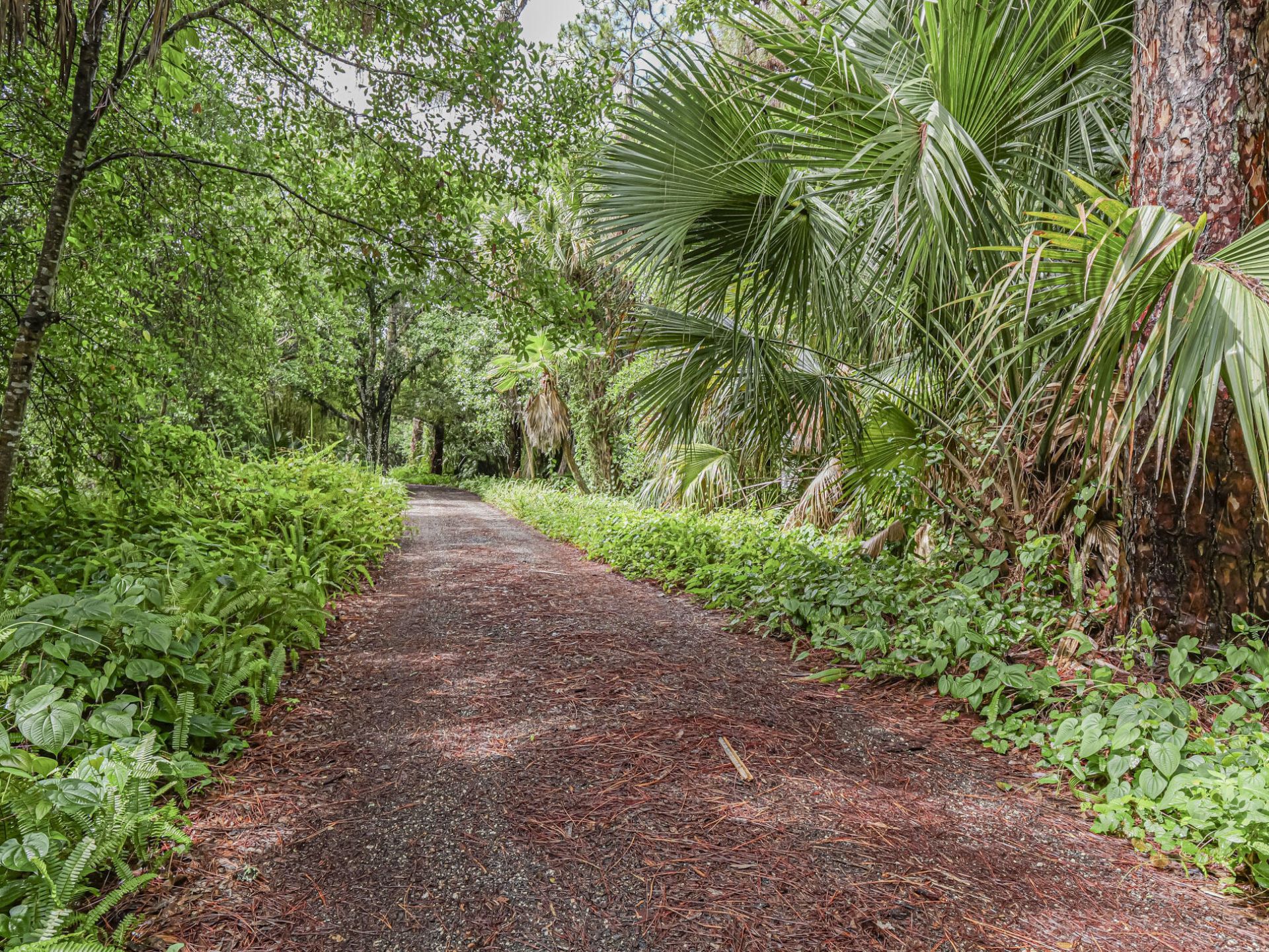 1354 SW Locks Road, Stuart, FL 34997 Photo