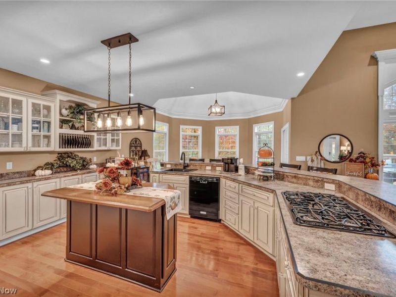 8933 Mountain View Drive, Mentor, OH 44060 Photo 29