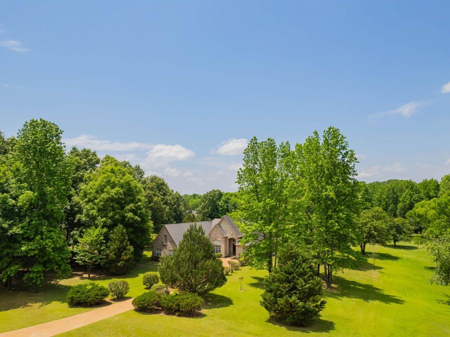 Property Image 38
