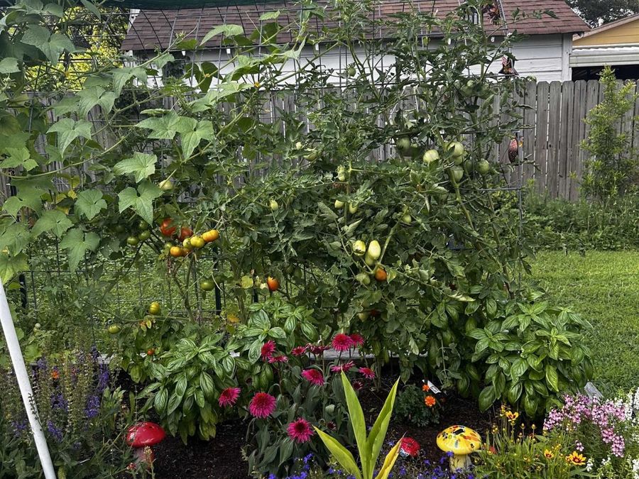 Property Image 20