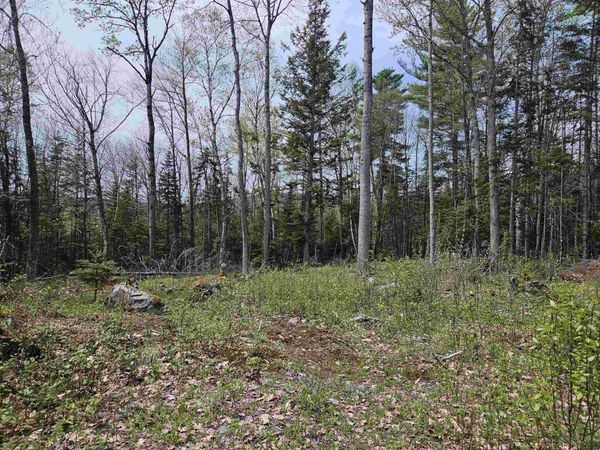 Lot 10.1 Wallace Hill Road, Franconia, NH 03580