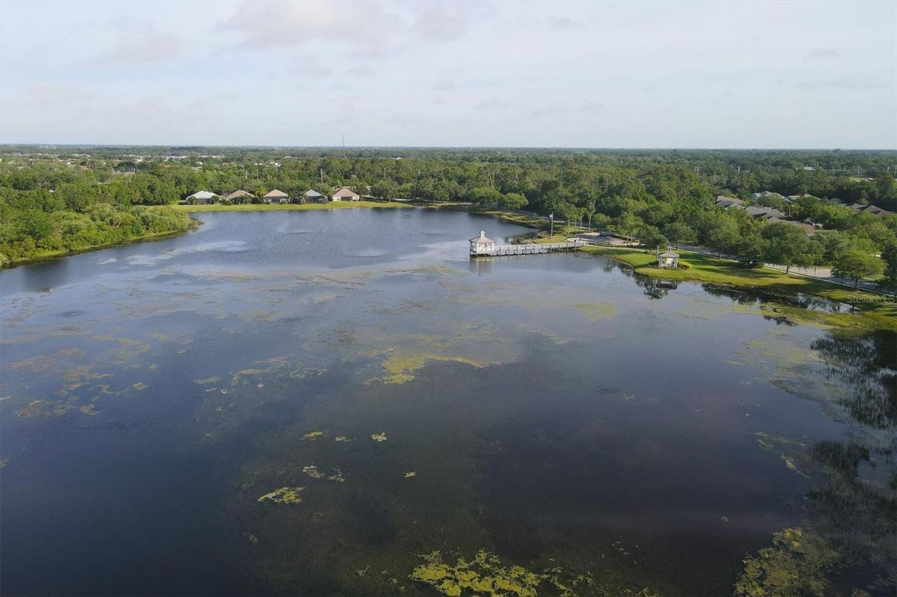 4430 Natures Reach Terrace, Parrish, FL 34219 Photo