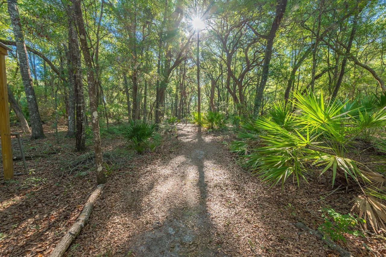 13291 NW 86th Avenue , Chiefland, FL 32626 Photo
