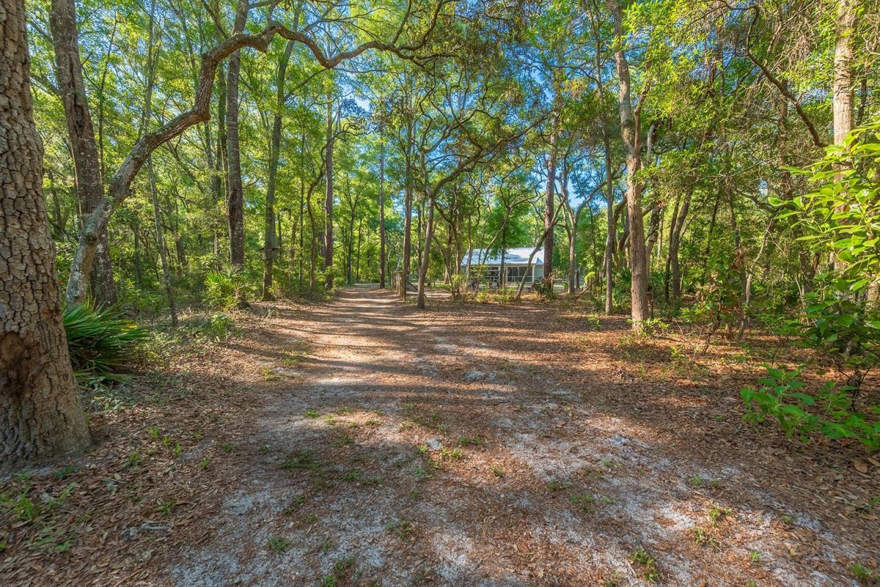13291 NW 86th Avenue , Chiefland, FL 32626 Photo