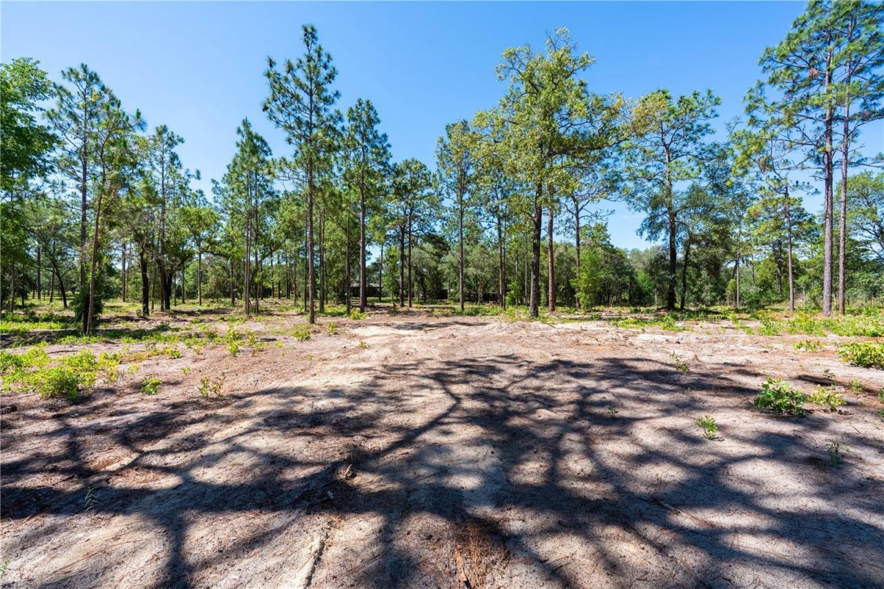 12691 SE 80th Street, Morriston, FL 32668 Photo
