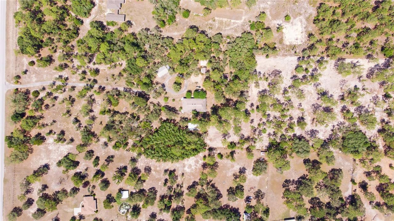 12691 SE 80th Street, Morriston, FL 32668 Photo