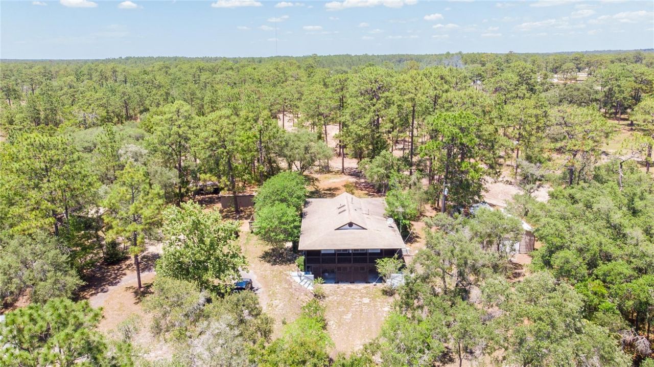 12691 SE 80th Street, Morriston, FL 32668 Photo