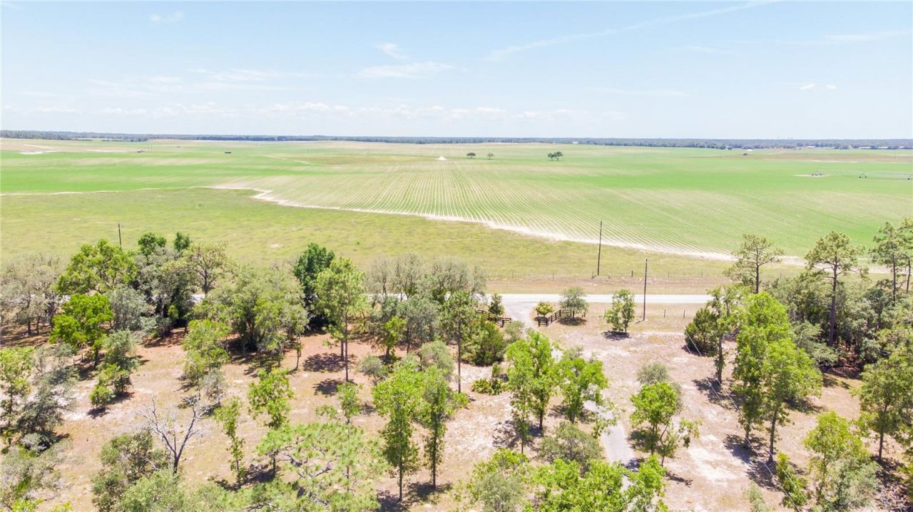 12691 SE 80th Street, Morriston, FL 32668 Photo
