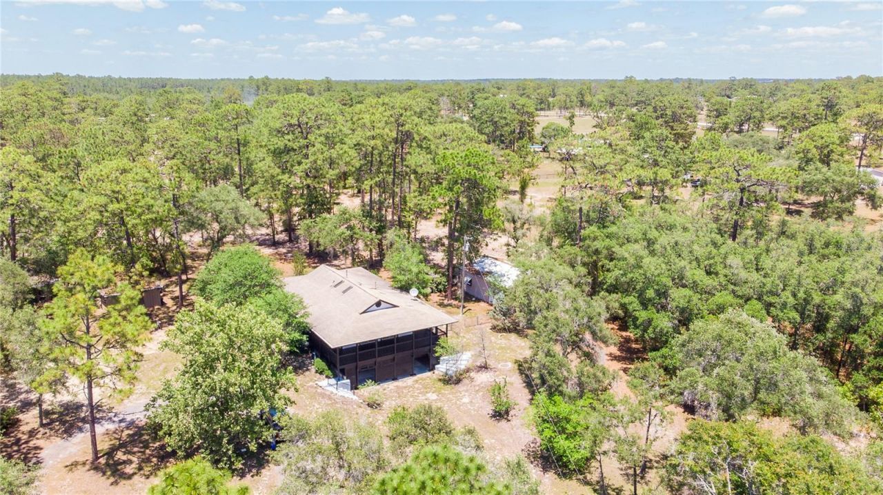 12691 SE 80th Street, Morriston, FL 32668 Photo