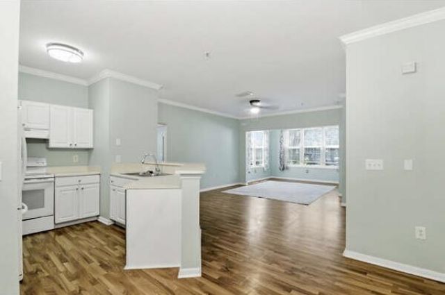 60 Fenwick Hall Allee Alley Photo 7