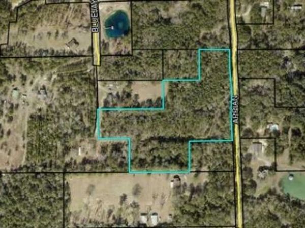 000 Appian Way, Baconton, GA 31716
