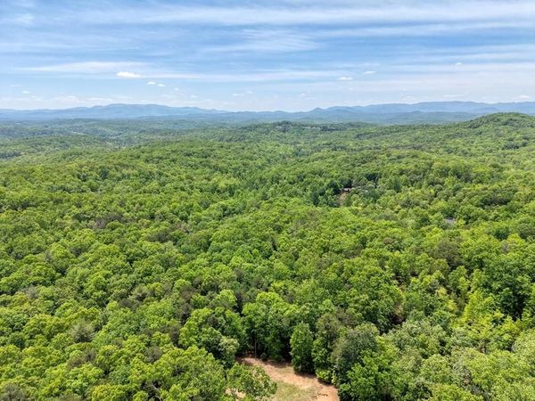 57.30 AC Stuart View Drive, Mineral Bluff, GA 30512