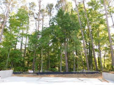 2546 Vining Branch Way, Apex, NC 27523